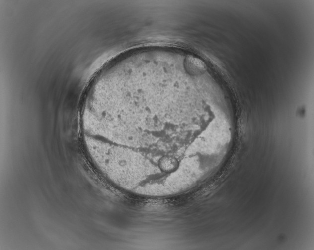 X0000115411267200912011331