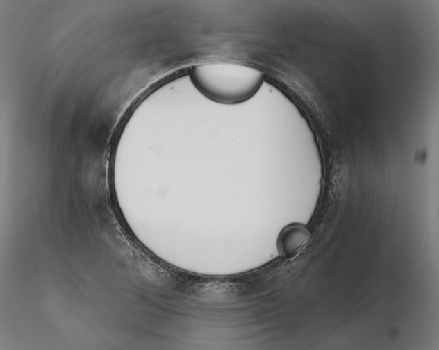 X0000115411268200912011331