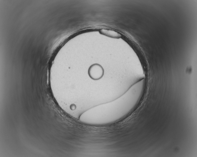 X0000115411269200912011331