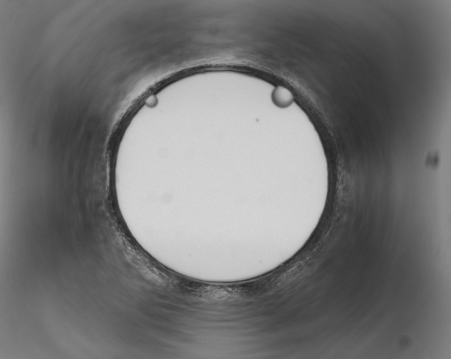 X0000115411270200912011331