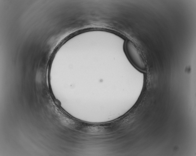 X0000115411272200912011331