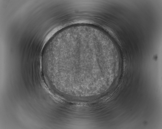 X0000115411274200912011331