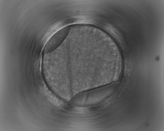 X0000115411276200912011331