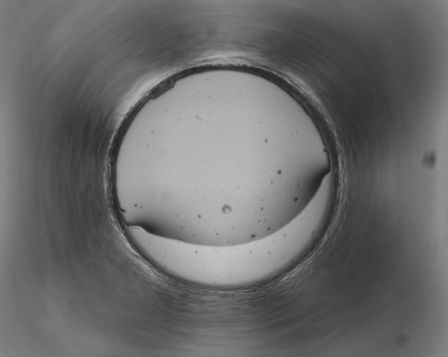 X0000115411277200912011331