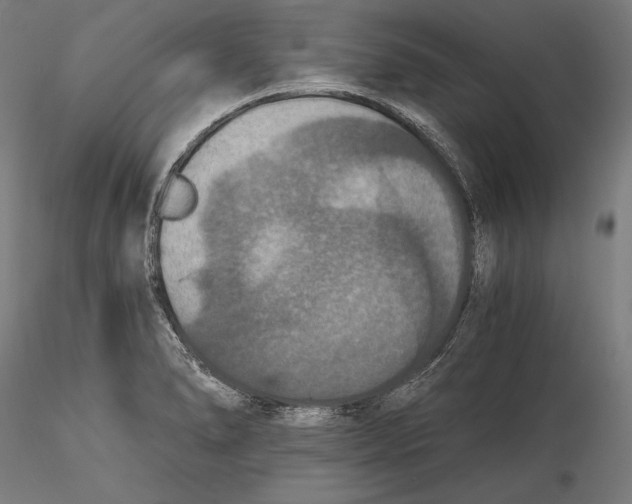 X0000115411278200912011331