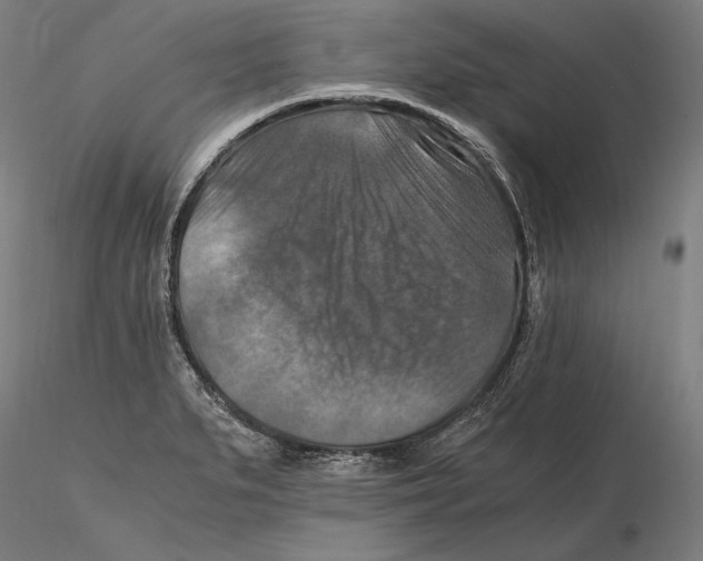 X0000115411279200912011331