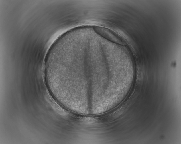 X0000115411280200912011331