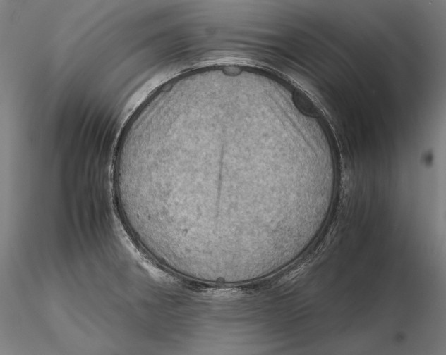 X0000115411282200912011331