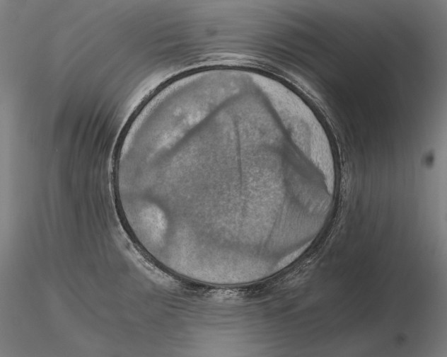 X0000115411283200912011331