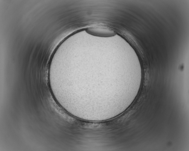 X0000115411284200912011331