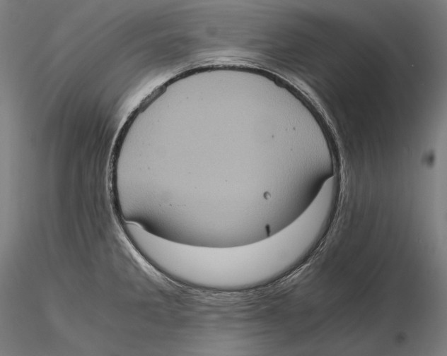 X0000115411285200912011331