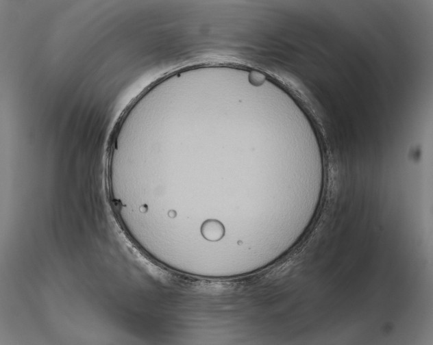 X0000115411286200912011331