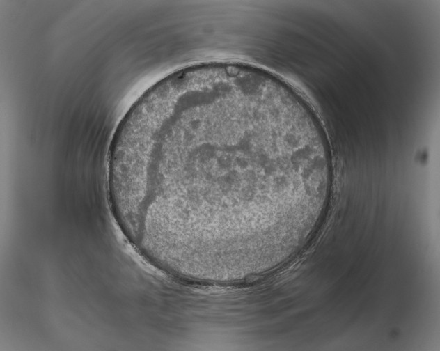 X0000115411287200912011331