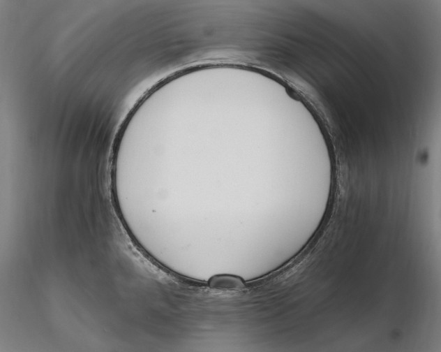 X0000115411288200912011331