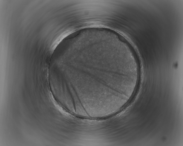 X0000115411289200912011331