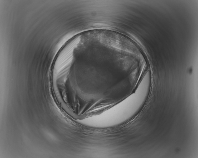 X0000115411291200912011331