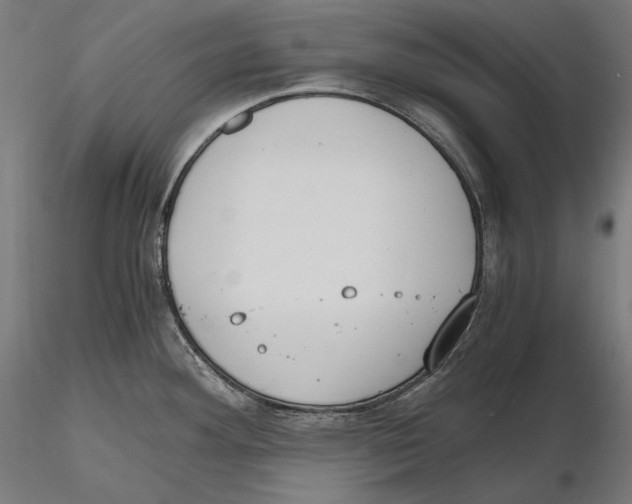 X0000115411292200912011331