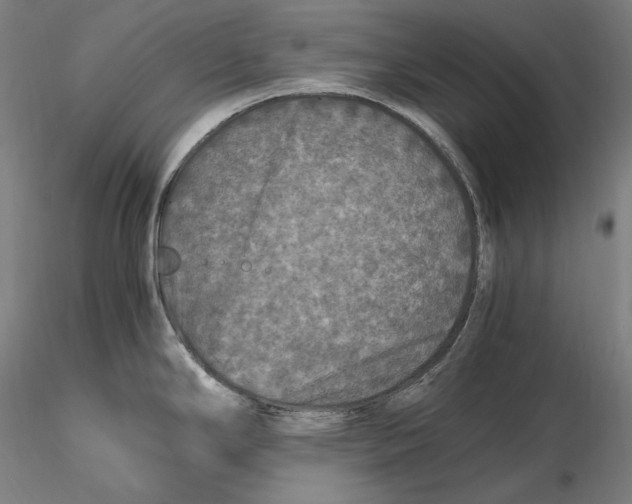 X0000115411294200912011331