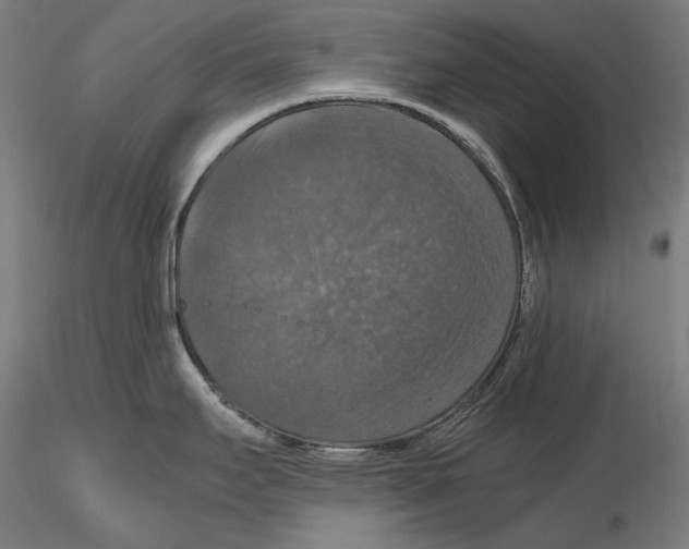 X0000115411295200912011331