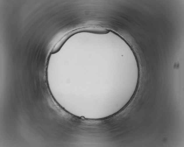 X0000115411296200912011331