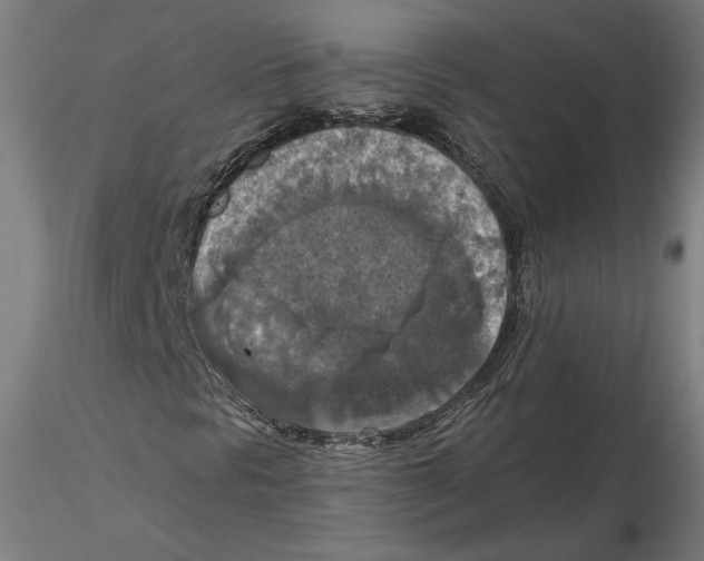 X0000115411297200912011330