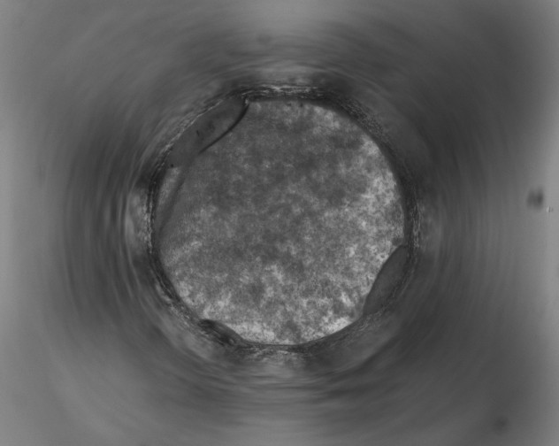 X0000115411298200912011330