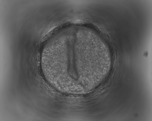 X0000115411301200912011330