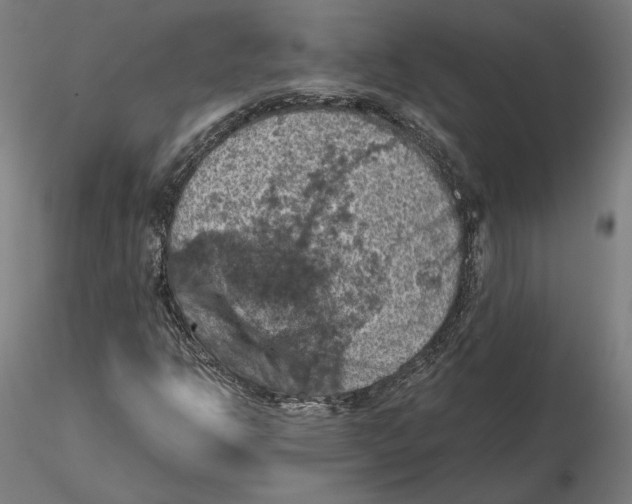 X0000115411302200912011330