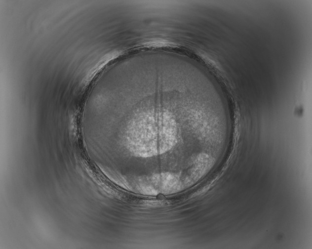 X0000115411305200912011330