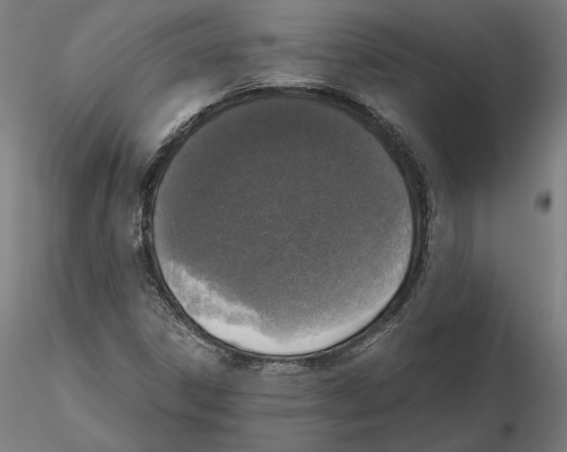 X0000115411306200912011331