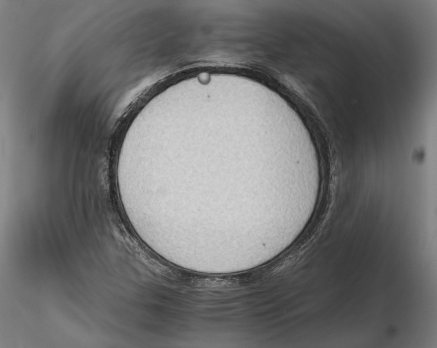 X0000115411307200912011331