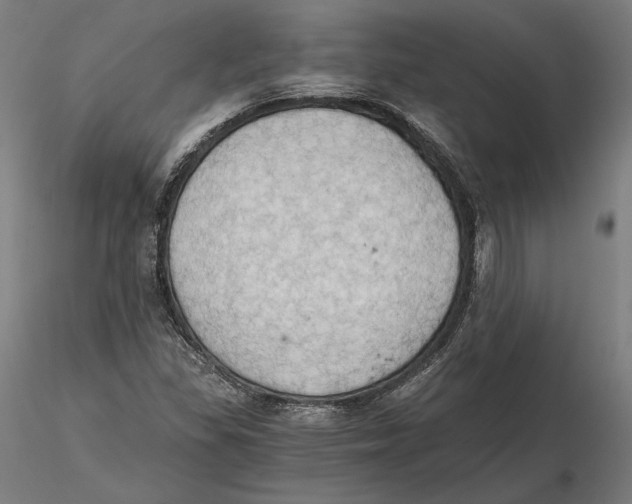 X0000115411309200912011331