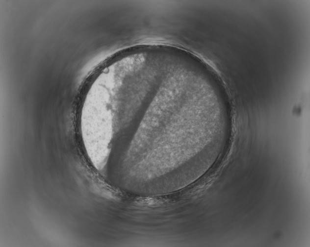 X0000115411311200912011331