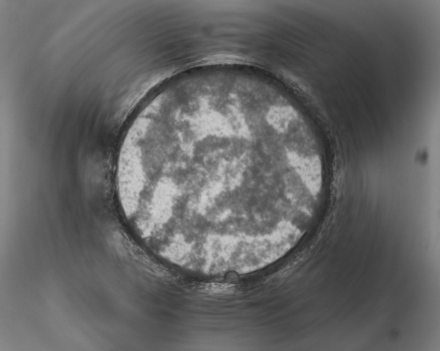 X0000115411313200912011331