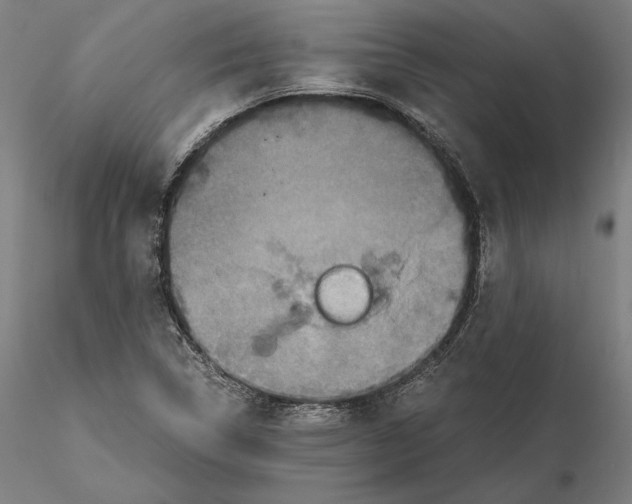 X0000115411314200912011331