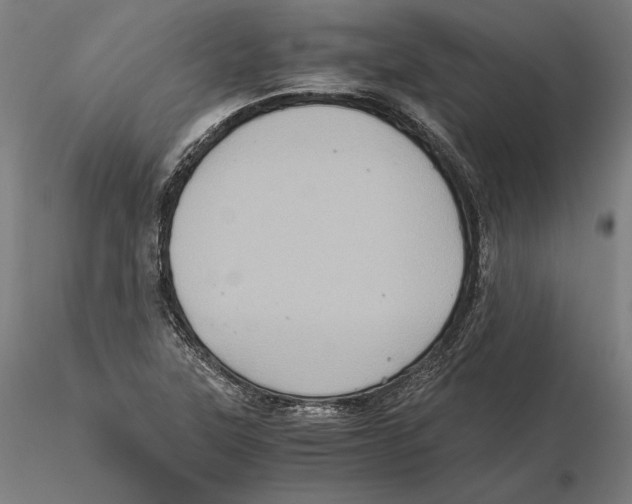 X0000115411315200912011331