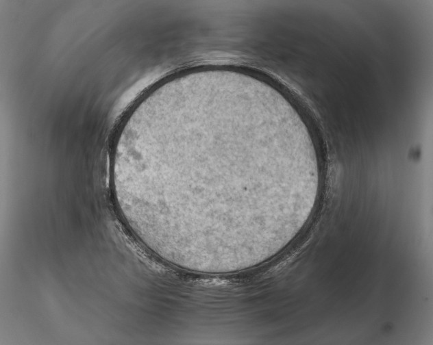 X0000115411317200912011331