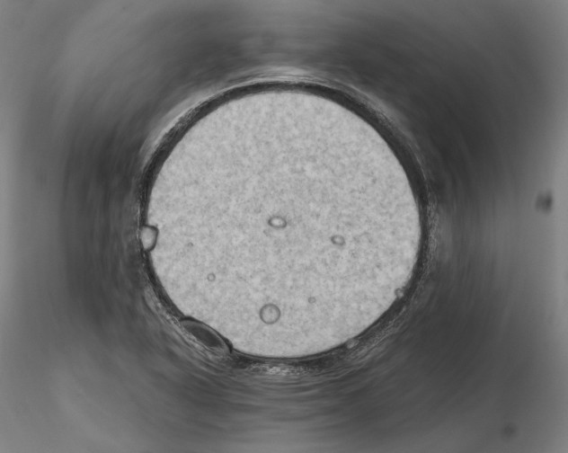 X0000115411318200912011331