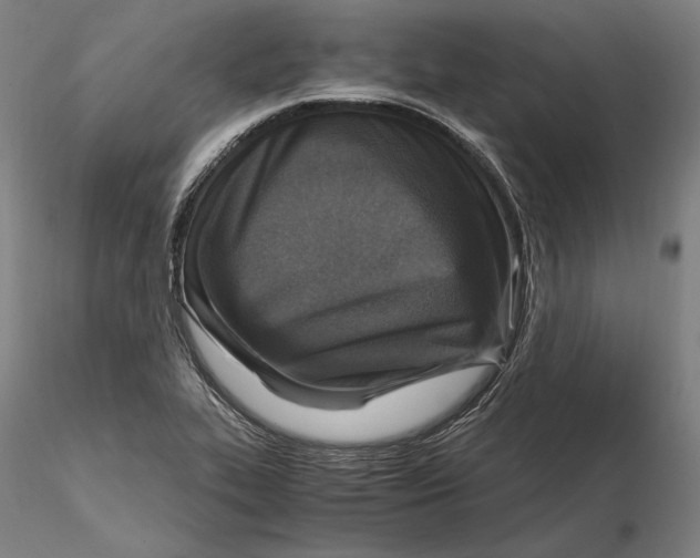 X0000115411319200912011331