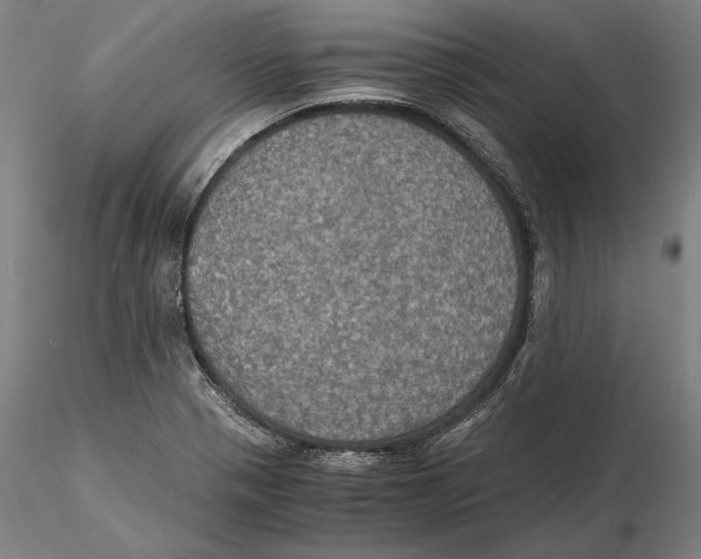 X0000115411321200912011331