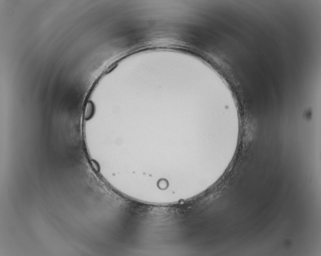 X0000115411322200912011331