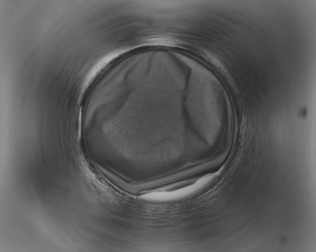 X0000115411323200912011331