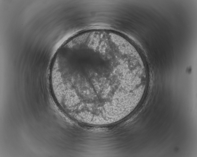 X0000115411325200912011331