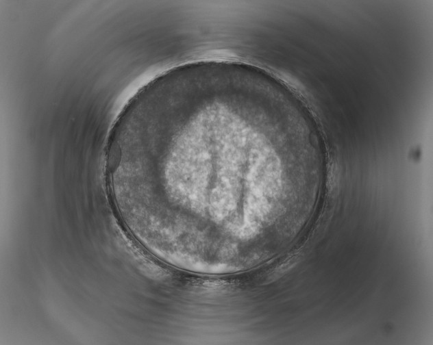 X0000115411326200912011331