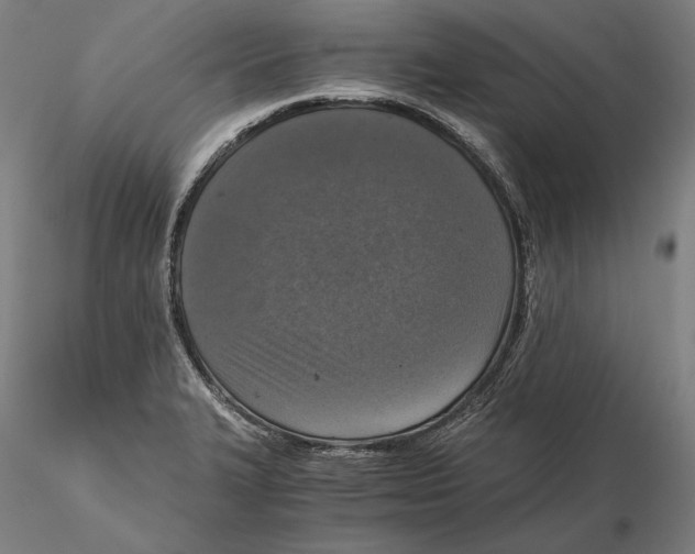 X0000115411327200912011331