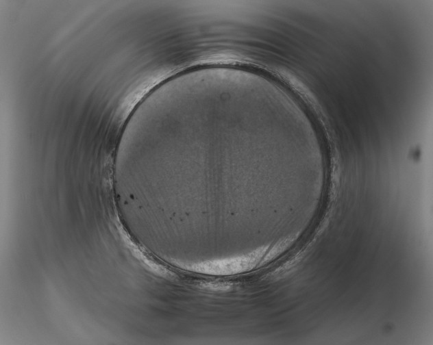 X0000115411329200912011331