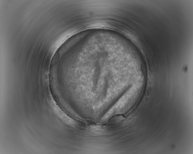 X0000115411330200912011331