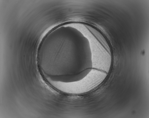 X0000115411331200912011331