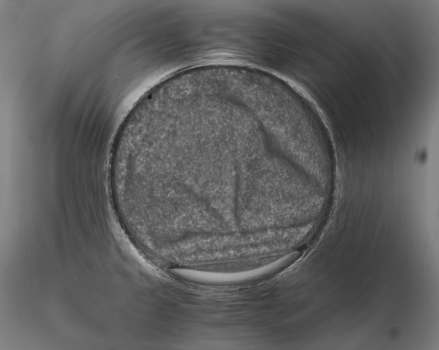 X0000115411333200912011331