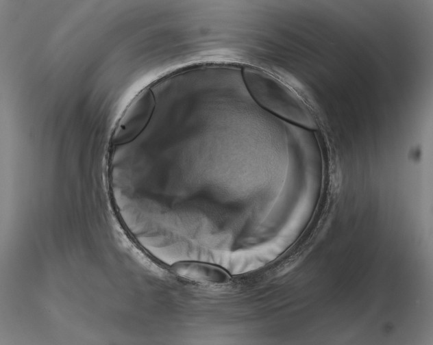 X0000115411334200912011331